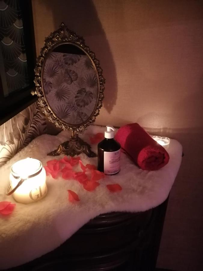 Romantisme Et Glamour Avec ,jardin Proche Zenith Apartment