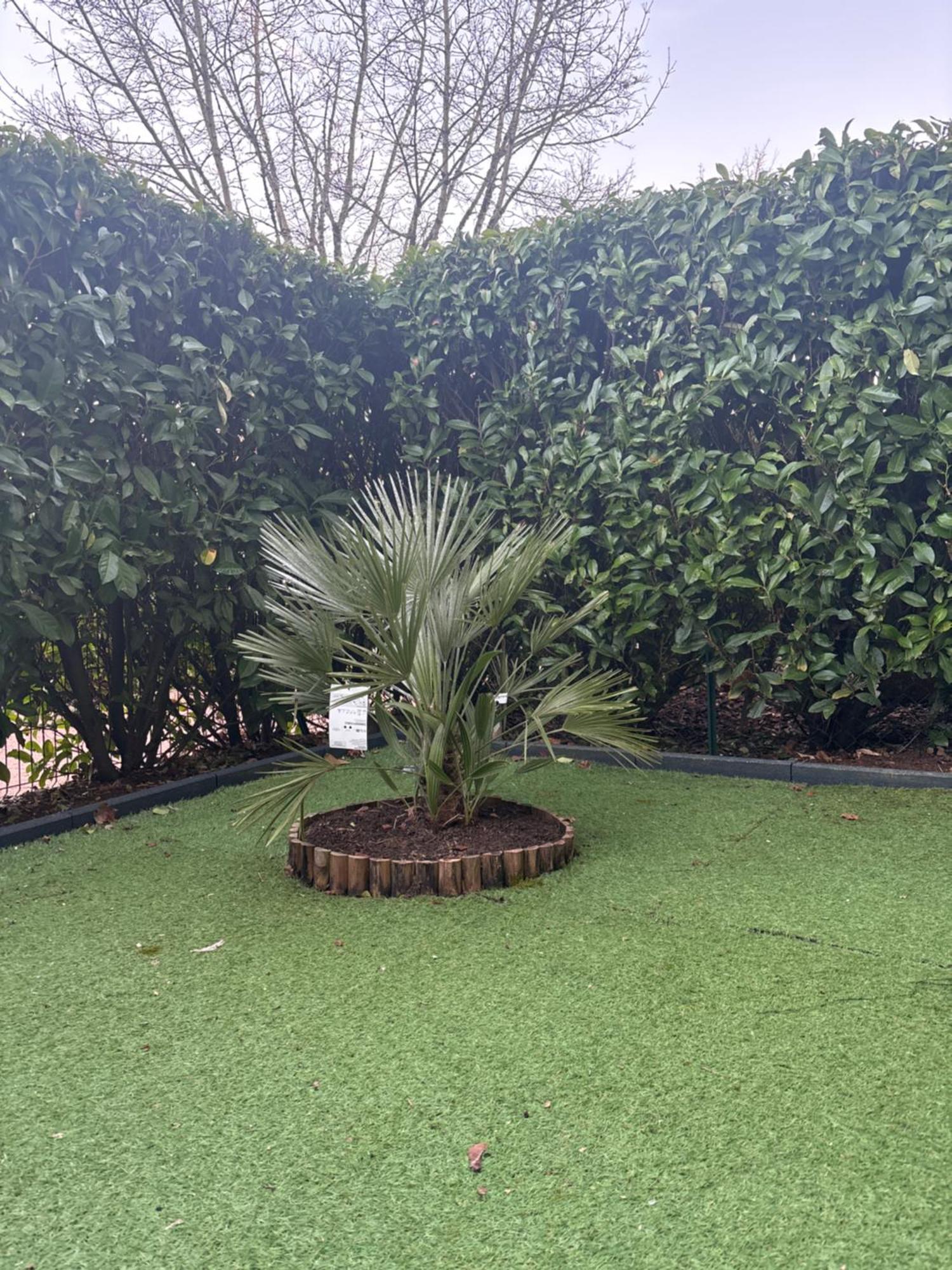 Romantisme Et Glamour Avec ,jardin Proche Zenith